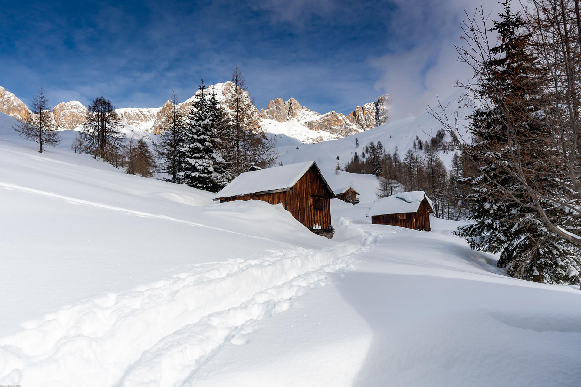 Scola Apartments Falcade Dolomiti Belluno
